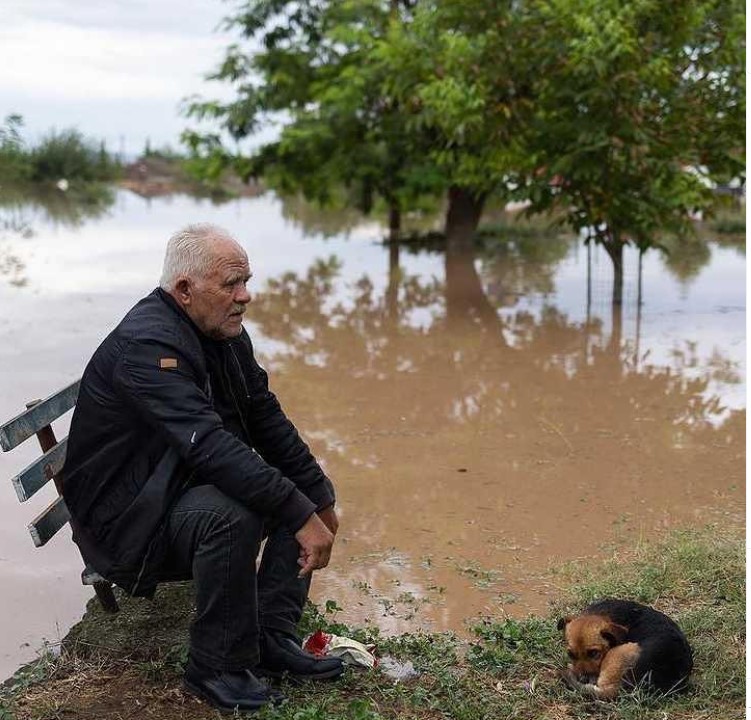 Σε απόγνωση ηλικιωμένος 